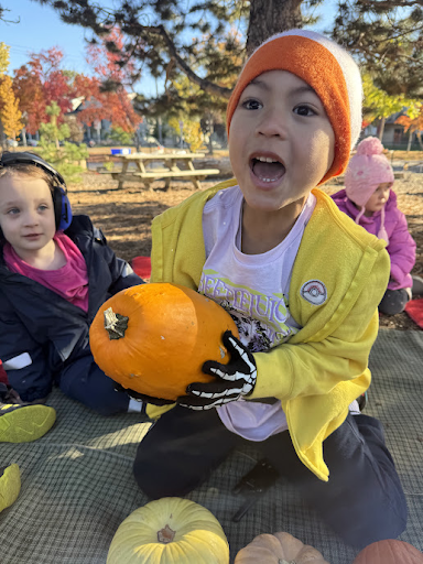 A young child holds an orange pumpkin and speaks excitedly. He is dressed in a hat, hoodie and gloves and sits outside on a blanket