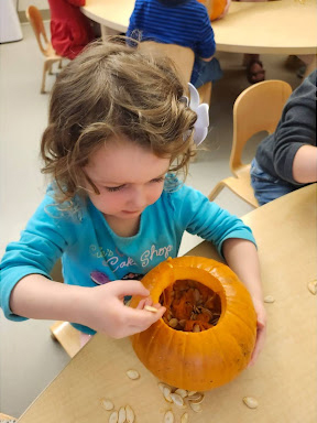 A young child focuses on scooping seeds out of a pumpkin by hand