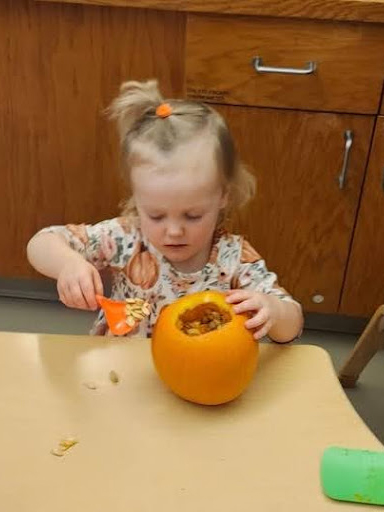 A young child focuses on scooping seeds out of a pumpkin with an orange spoon